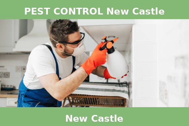 PEST CONTROL New Castle